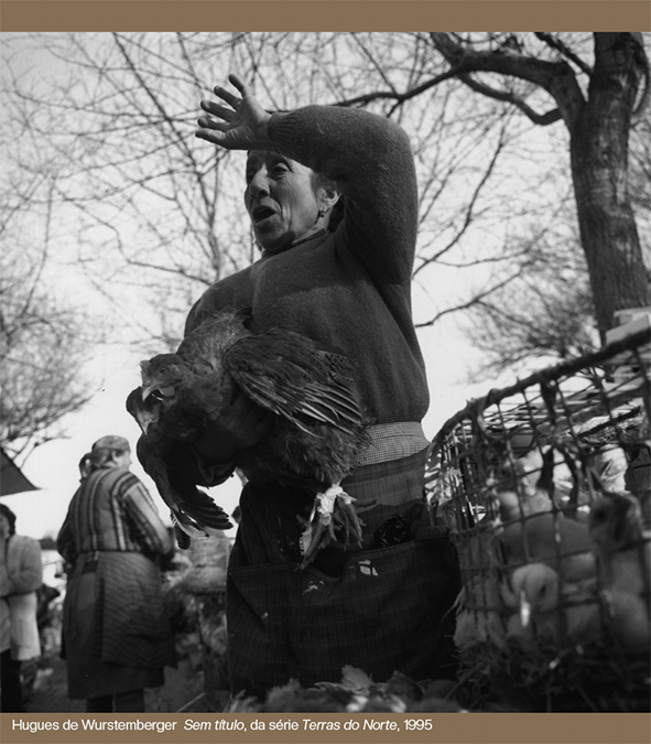 Imagem a preto e branco de uma senhora, numa feira no norte de Portugal, na década de 90 com uma galinha na mão e um cesto de pintos no canto inferior direito. Fotografia da autoria de Hugues de Wurstemberger, Sem título, da série Terras do Norte, 1995.
